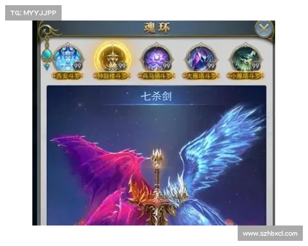 如何平衡武魂玄冰的输出与防御提升角色战斗力的策略分析