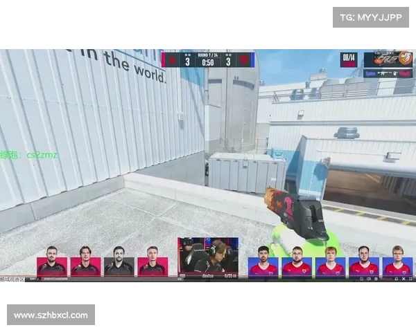 畅玩CSGO玩家必读俄罗斯皮肤交易平台选择与使用全攻略指南