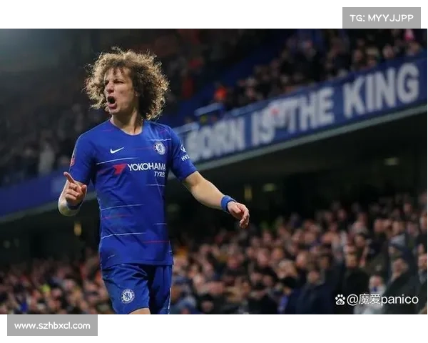 大卫路易斯未能入选国家队的原因分析及背后考量